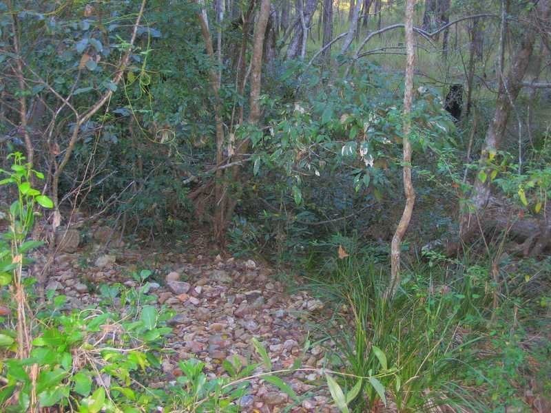 Lot 212, 427 Davies Road, Agnes Water QLD 4677
