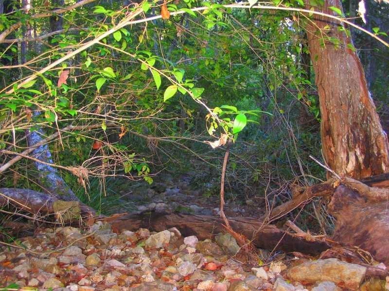 Lot 212, 427 Davies Road, Agnes Water QLD 4677