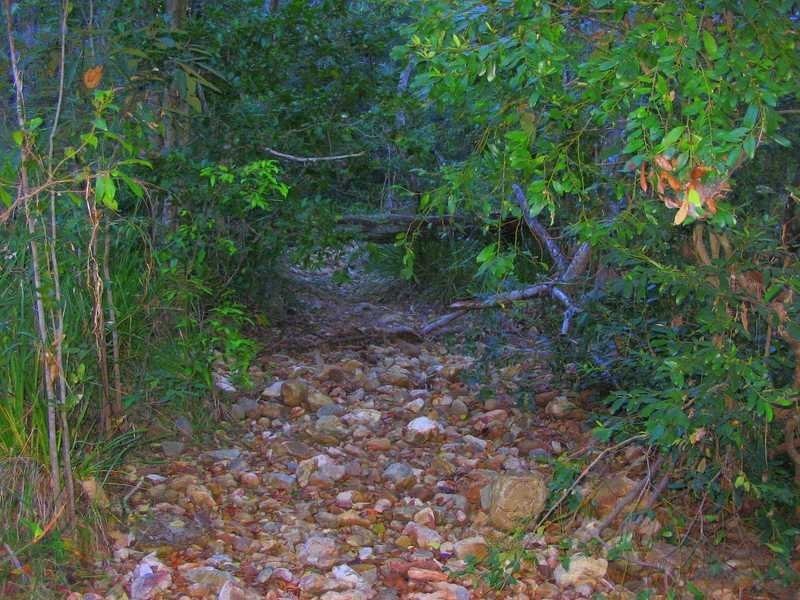 Lot 212, 427 Davies Road, Agnes Water QLD 4677