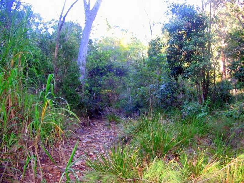 Lot 212, 427 Davies Road, Agnes Water QLD 4677