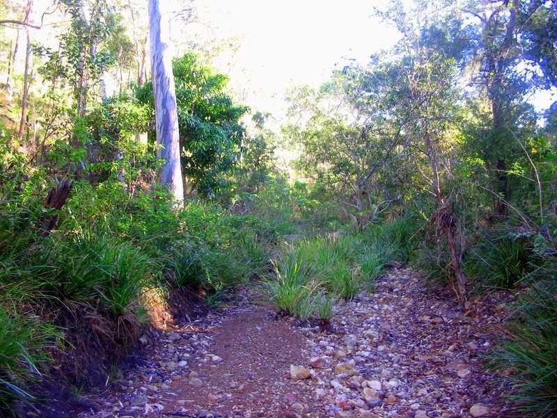 Lot 212, 427 Davies Road, Agnes Water QLD 4677