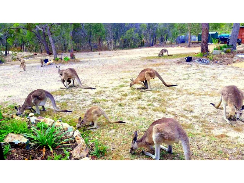 20 Wilson Drive, Agnes Water QLD 4677