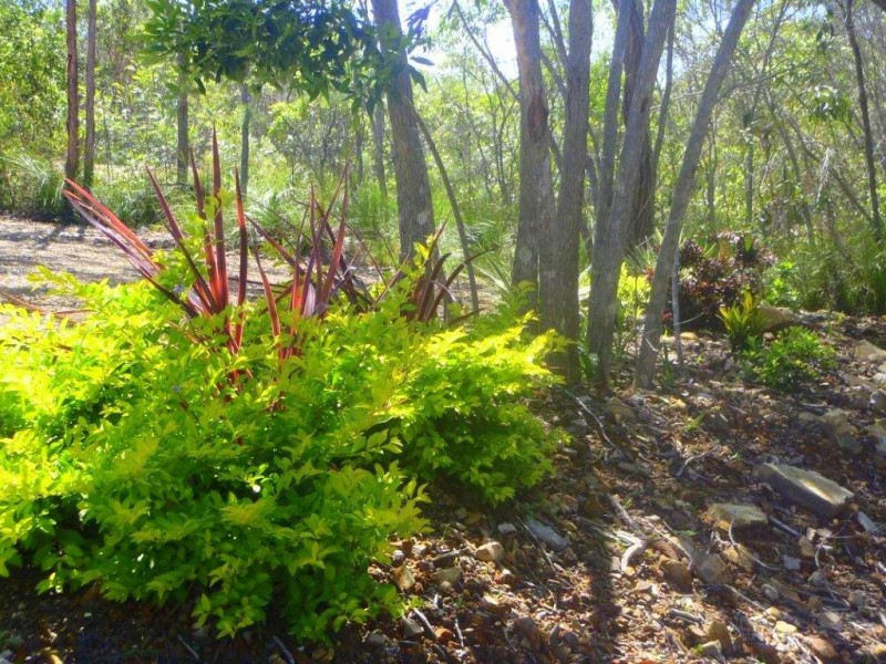 20 Wilson Drive, Agnes Water QLD 4677