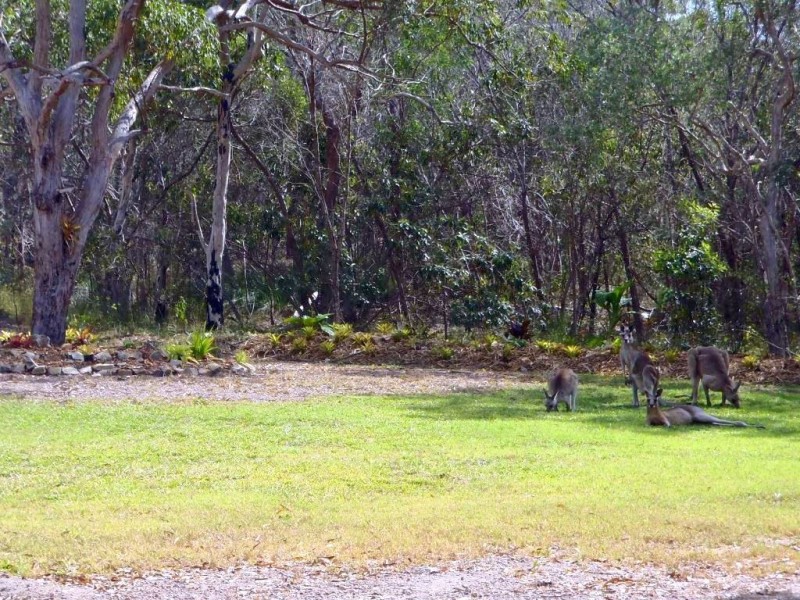 20 Wilson Drive, Agnes Water QLD 4677