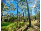 299 Masthead Drive, Agnes Water QLD 4677