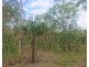 299 Masthead Drive, Agnes Water QLD 4677