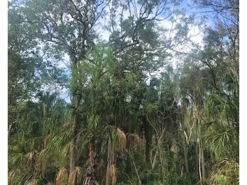 299 Masthead Drive, Agnes Water QLD 4677