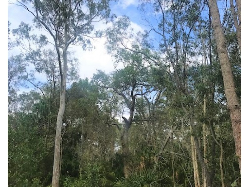 299 Masthead Drive, Agnes Water QLD 4677