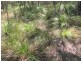 Round Hill QLD 4677