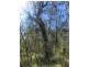 Round Hill QLD 4677