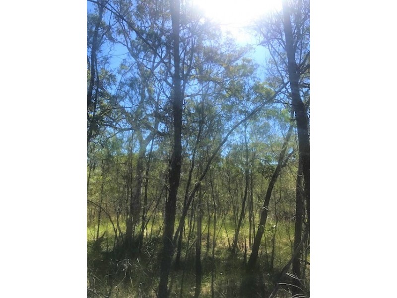 Round Hill QLD 4677