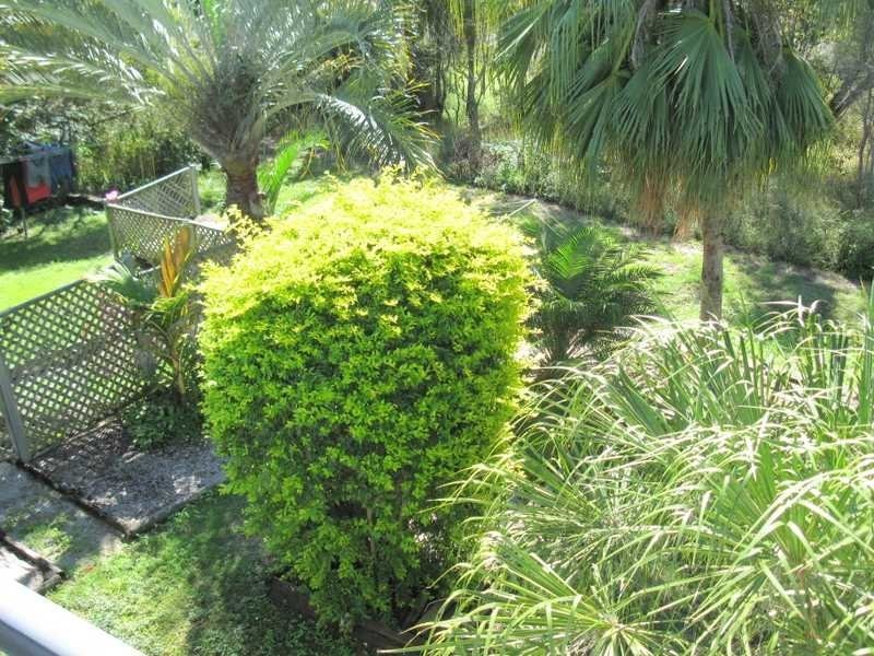 Unit 2/6 Donohue Drive, Agnes Water QLD 4677