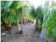 Lot 118 Innamincka Way, Agnes Water QLD 4677