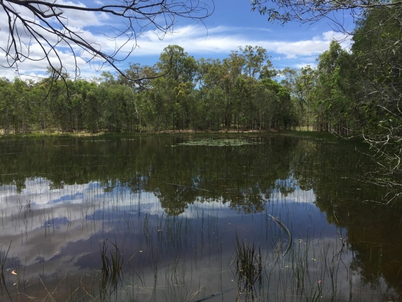 L25 Creevey Drive, Captain Creek QLD 4677