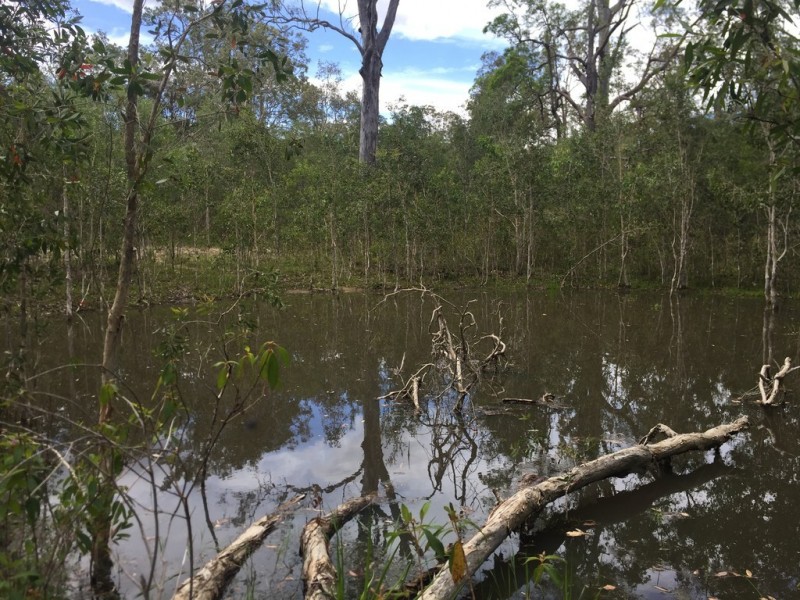 L25 Creevey Drive, Captain Creek QLD 4677