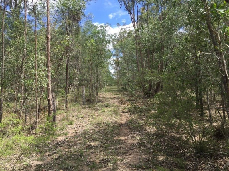 L25 Creevey Drive, Captain Creek QLD 4677