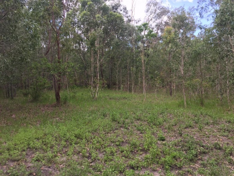 L25 Creevey Drive, Captain Creek QLD 4677