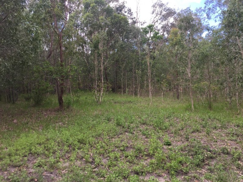 L25 Creevey Drive, Captain Creek QLD 4677