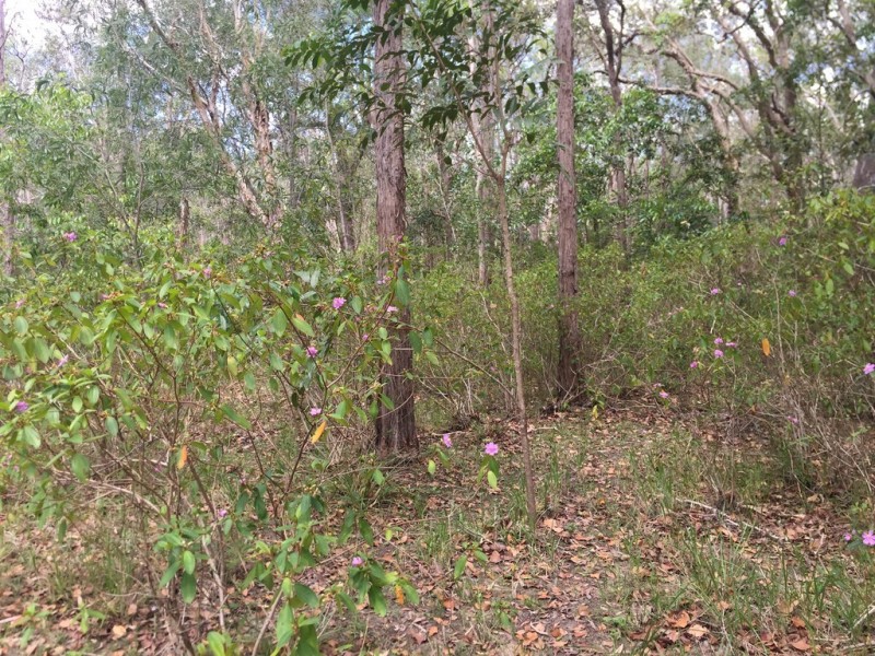 L25 Creevey Drive, Captain Creek QLD 4677