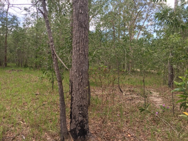 L25 Creevey Drive, Captain Creek QLD 4677