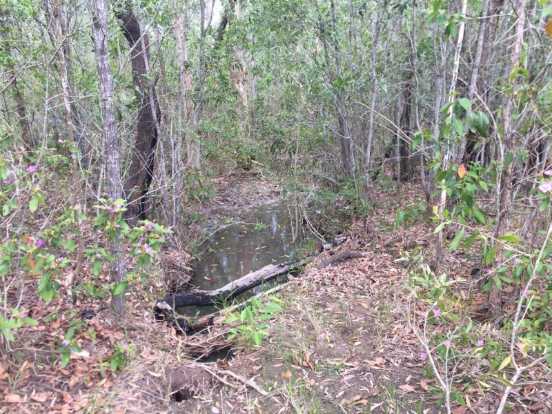 L25 Creevey Drive, Captain Creek QLD 4677