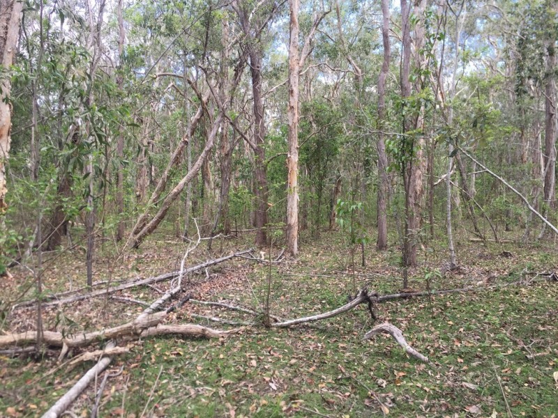 L25 Creevey Drive, Captain Creek QLD 4677