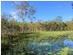 1 Dillon Road, Captain Creek QLD 4677
