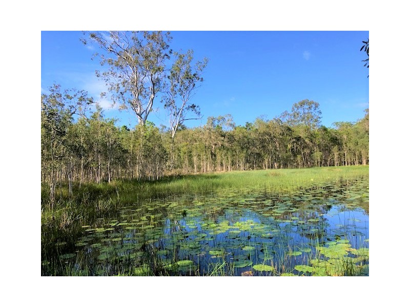 1 Dillon Road, Captain Creek QLD 4677