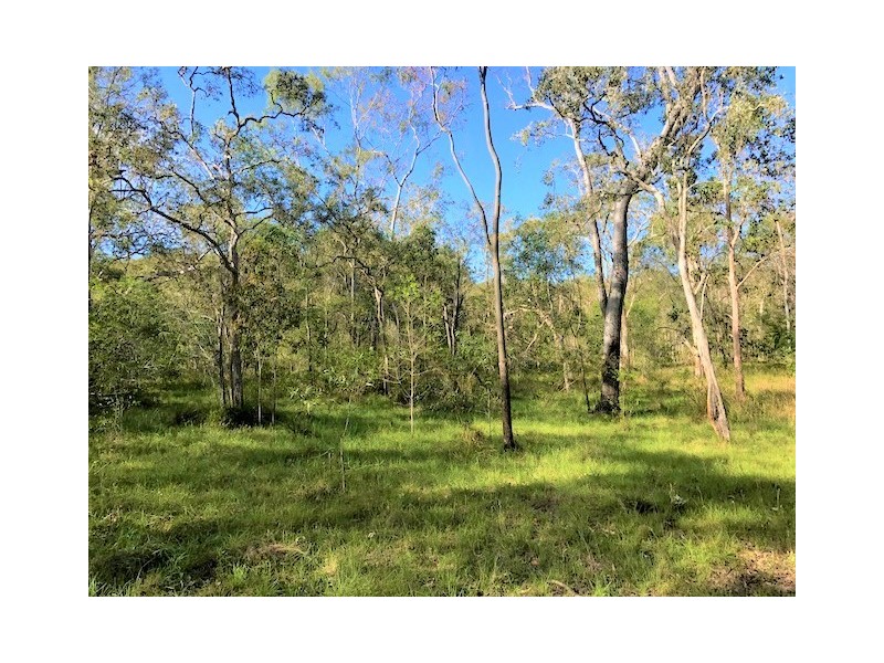 1 Dillon Road, Captain Creek QLD 4677