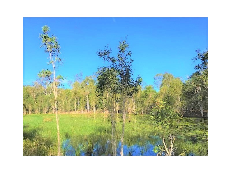 1 Dillon Road, Captain Creek QLD 4677