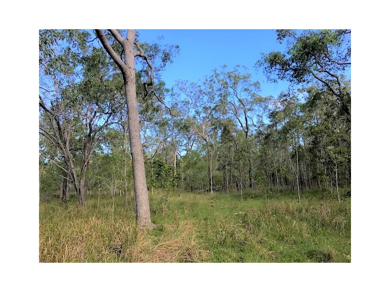 1 Dillon Road, Captain Creek QLD 4677