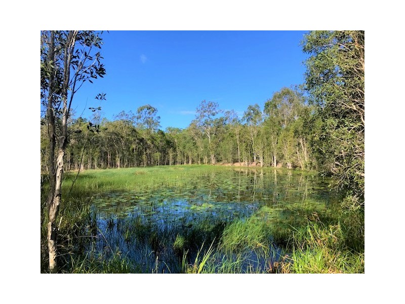 1 Dillon Road, Captain Creek QLD 4677