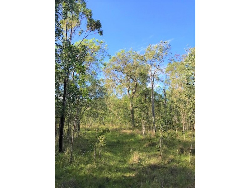 1 Dillon Road, Captain Creek QLD 4677