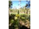 1 Dillon Road, Captain Creek QLD 4677