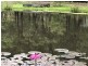 168 JOSEFSKI RD, Agnes Water QLD 4677