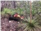 168 JOSEFSKI RD, Agnes Water QLD 4677