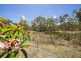 13 Mary Munro, Agnes Water QLD 4677