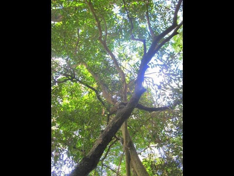 Lot 11, 6 Agnes Street, Agnes Water QLD 4677