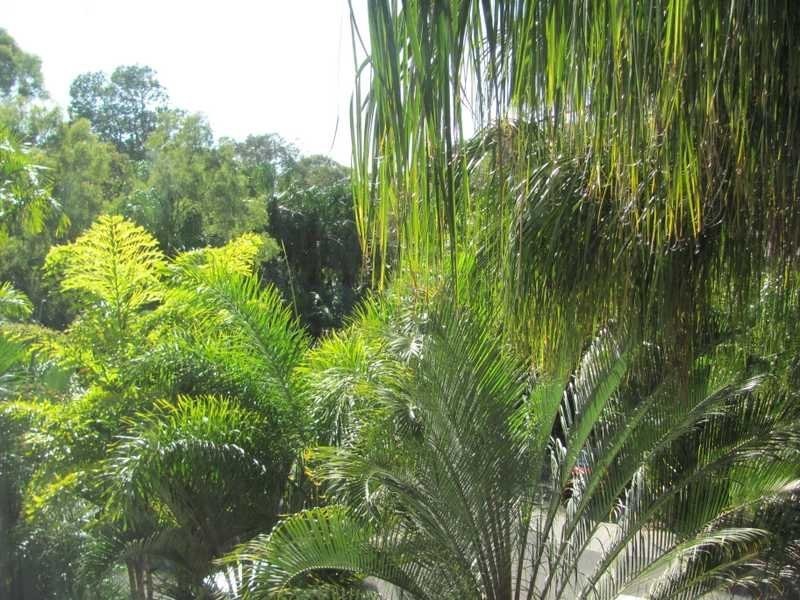 Unit 35/1 Captain Cook Drive, Agnes Water QLD 4677