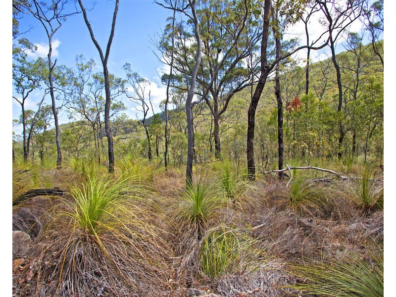 Captain Creek QLD 4677