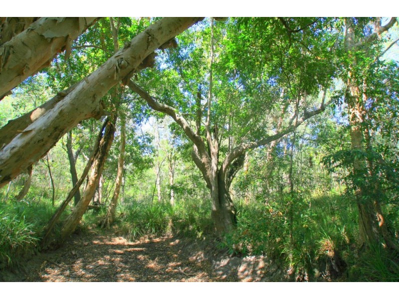 Captain Creek QLD 4677
