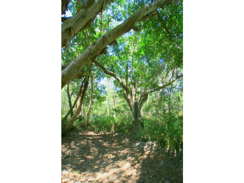 Captain Creek QLD 4677