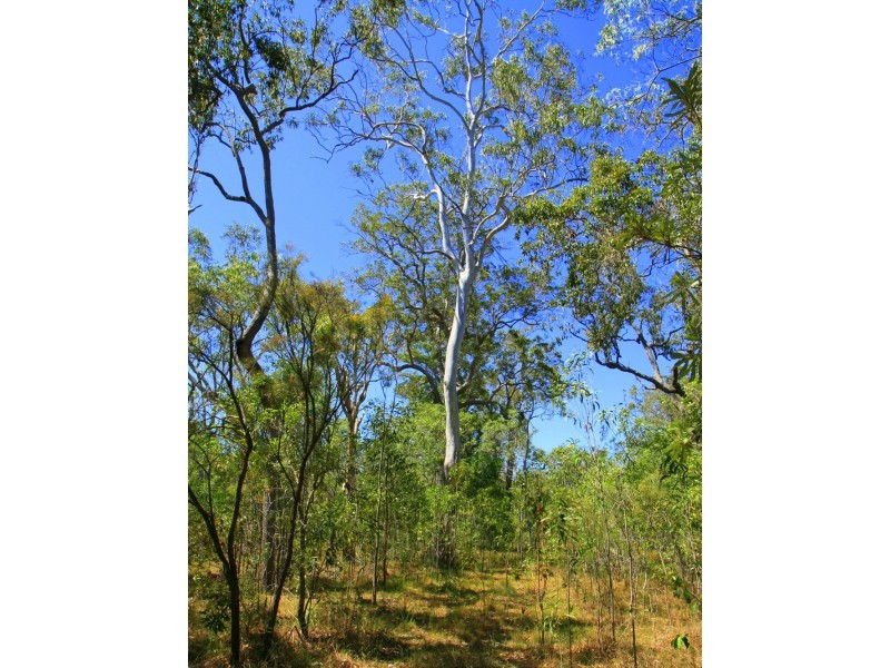 Captain Creek QLD 4677