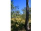 Captain Creek QLD 4677