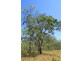 Captain Creek QLD 4677