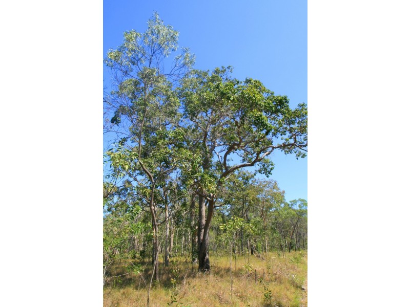 Captain Creek QLD 4677