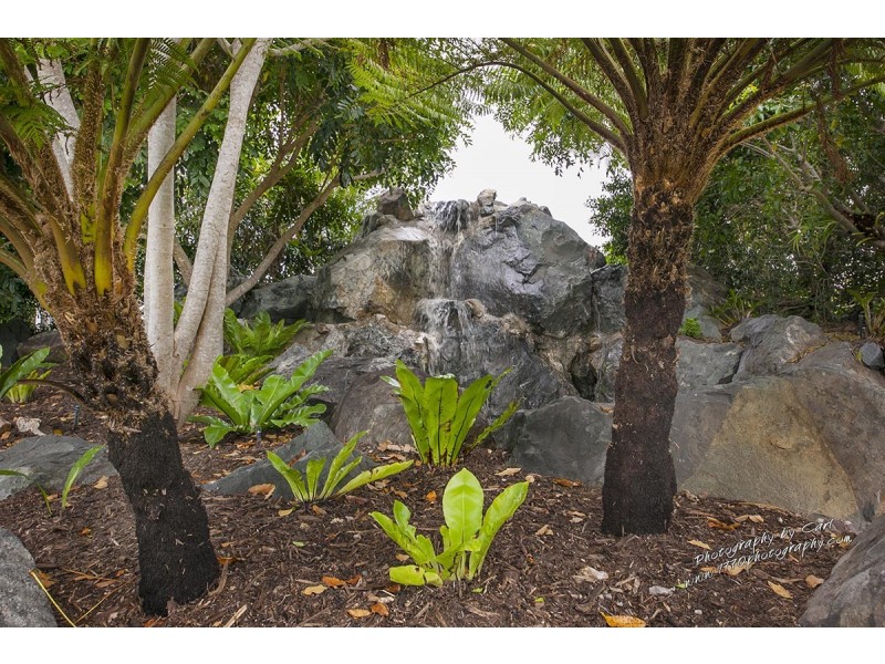 225 Anderson Way, Agnes Water QLD 4677