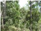 28 Creevey Drive, Captain Creek QLD 4677