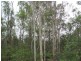 28 Creevey Drive, Captain Creek QLD 4677