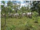 Miriam Vale QLD 4677